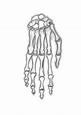Skeleton Hand Drawing Sketch Template sketch template