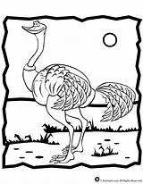 Ostrich Coloring Pages Animal sketch template