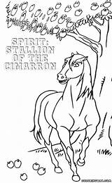 Cimarron Stallion Dreamworks Colorings sketch template