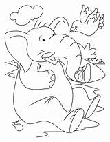Elephant Coloring Bird Pages Colouring Bestcoloringpages Choose Board Kids sketch template