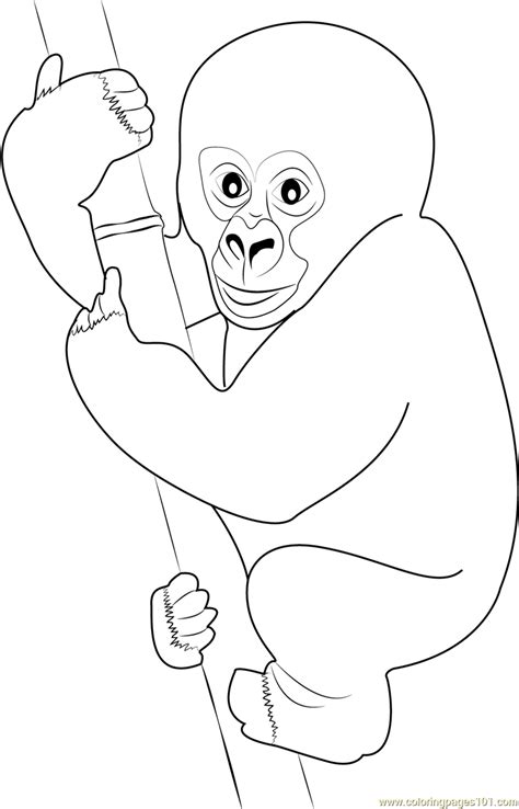 cute gorilla drawing  getdrawings
