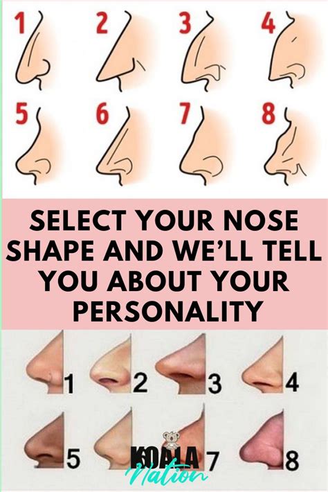 select  nose shape       personality   nose shapes health