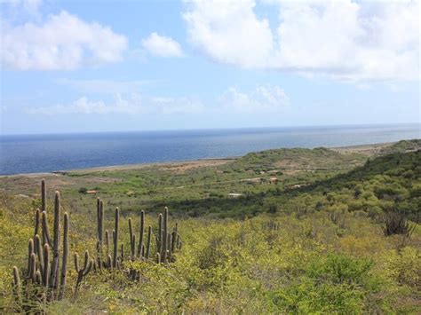 exciting     curacao    curacao green scenery