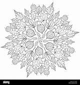 Mandala Autumn Coloring Leaves Background Vector Alamy Adult Children Illustration sketch template