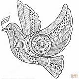 Zentangle Coloring Pages Library Clipart Dove sketch template