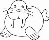 Walrus Coloring Cute Clip Clipart Line Sweetclipart sketch template