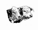 Hereford Clip American Cow Logo Cattle Association Library Drawings Polled Sketch sketch template