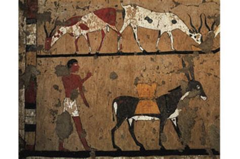 10 things you probably didn t know about ancient egypt history extra