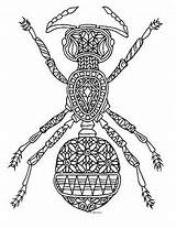 Zentangle Ant sketch template