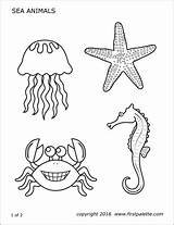 Jellyfish Firstpalette Coral Reef Starfish Turtles Fishes Sheets sketch template