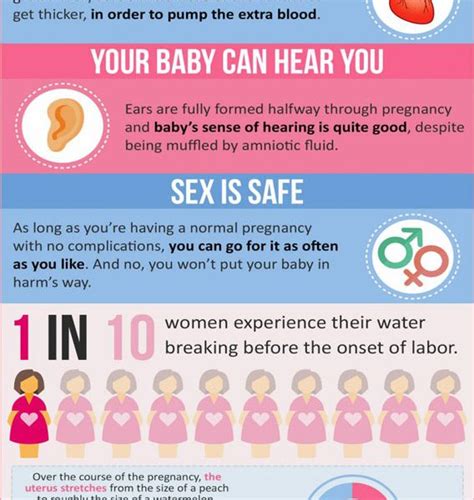 20 Amazing Facts About Pregnancy [infographic] Best
