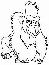 Gorille Coloriage Gorilla Animaux Gorila Coloriages Pages Primanyc Colorier sketch template