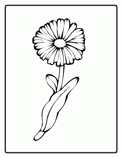 spring flowers coloring page coloring home