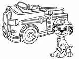 Feuerwehrauto Paw Marshall Bomberos Ausmalbilder Firetruck Malvorlagen Cool2bkids Camiones Canina Patrulla Camión Colouring Coloringhome Rincon sketch template