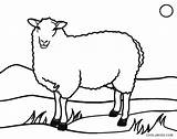 Sheep Coloring Pages Face Printable Color Lamb Drawing Kids Easter Cool2bkids Getdrawings Clipartmag Bighorn sketch template