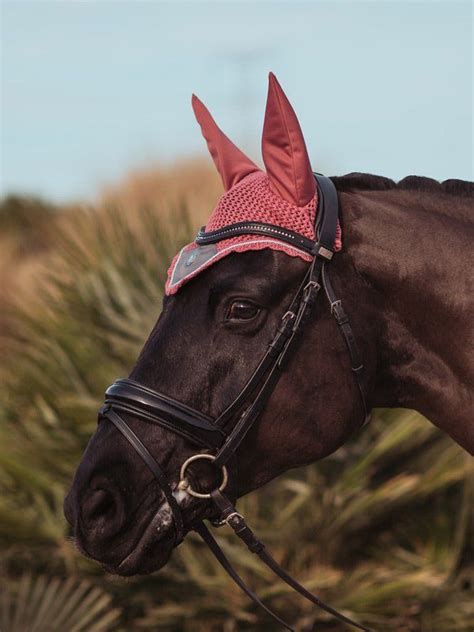 ear nets horse ear bonnets equestrian stockholm   horse