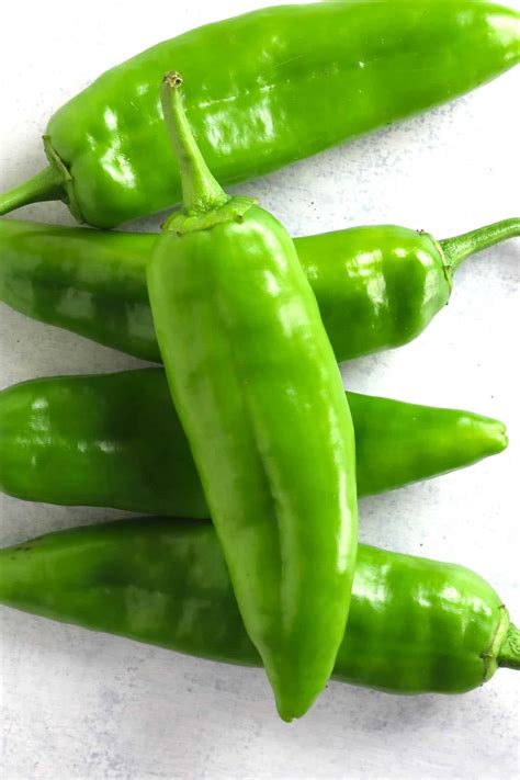 hatch chile peppers    chili pepper madness