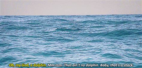 same for dolphin girl tumblr