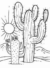 Cactus Coloring Pages Sunset Great Choose Board Scenery Book Water Habitat Plant sketch template