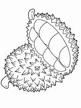 Durian Coloring Pages Drawing Fruits Fruit Kids Papaya Printable Print Tree Color Getdrawings Visit Paintingvalley Adults Recommended sketch template