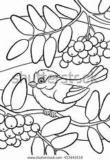 Birds Coloring Cute Pages Little Titmouse Vector Ash Sits Mountain sketch template