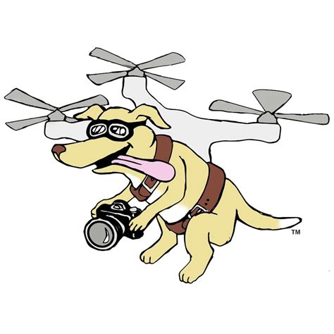 flying dog drone services jason yates youtube