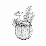 Drink Tropical Summer Vector Coconut Hawaiian Cocktail Clip Illustrations Fruit Coloring Similar sketch template