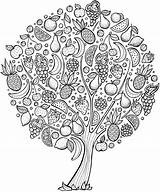 Coloring Tree Pages Fruit Adult Adults Colouring Printable Color Mandalas Print Rocks Ross Bob Roots Cherry Kids Dover Book Fruits sketch template