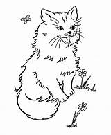 Coloring Cat Pages Printable Kitten Cute Animal Kids Garden Sheets Cats Print Kitty Color Honkingdonkey Kittens Butterfly Book Pet Dot sketch template