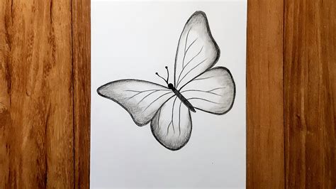 draw beautiful butterfly pencil sketch  beginners karabi