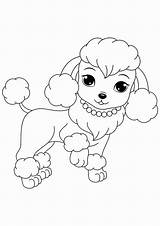 Coloring Poodle Kids Pages Dog Puppy Poodles Bestcoloringpagesforkids sketch template