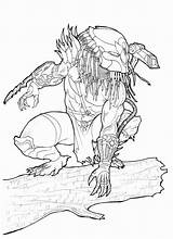 Predator Depredador K5worksheets Ausmalbilder Wonder sketch template
