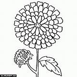 Henkes Chrysanthemum Popular sketch template