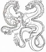 Hydra Adulte Fantastiques Dragons Colorear Fantasticos Drachen Coloriages Ausmalen Fabeltiere Fantastici Animali Ausmalbild Kraken Dragones Fantásticos Adultes Relajante Antiestrés Erwachsene sketch template