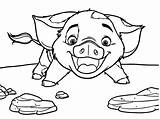 Moana Coloring Pig Pua Pages Face Drawing Disney Maui Color Printable Colouring Easy Rocks Cartoon Print Getdrawings Coloringpagesonly Getcolorings Animal sketch template