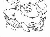 Baby Coloring Whale Moms Animals Coloringbay Pages sketch template