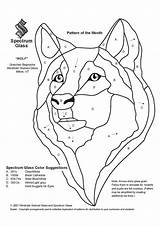 Stained Intarsia Vitrail Fused Sketch Pins Loup Panel sketch template