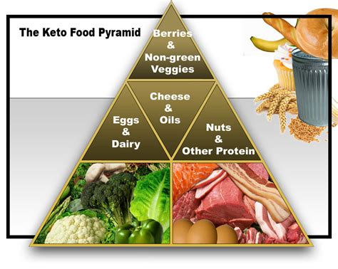diet     ketogenic diet