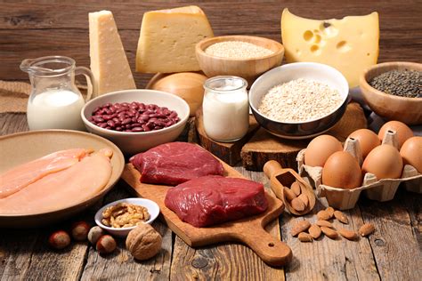 introduction  protein  high protein foods unlock food