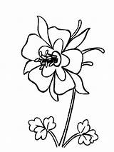 Flower Columbine Colorado Coloring Pages Flowers Drawing Blue State Tree Drawings Color Mexico Gif Recommended Printable Pdf Adult Getdrawings Choose sketch template