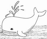 Whale Coloring Pages Sperm Drawing Line Kids Printable Cool2bkids Paintingvalley sketch template