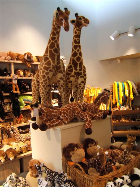houston zoo gift shop  tonita main