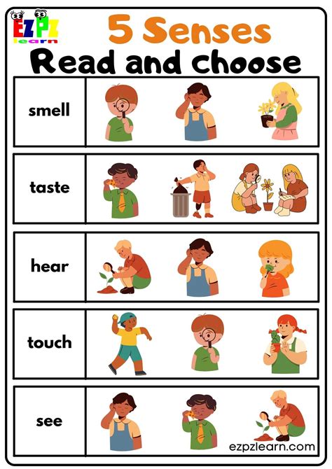 senses worksheets  kindergarten