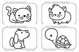 Animals Coloring Pages Kids Animal Colour Preschoolers Kindergarten Colouring Toddlers Print Growing Most Collection sketch template