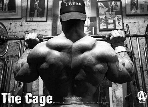 1000 Images About Bodybuilding On Pinterest