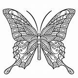 Mandala Coloring Pages Butterfly Printable Adults Adult Insect Kids Flower Peaksel Sheets Color Save Colouring Choose Board Visit Read Book sketch template