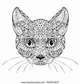 Coloring Cat Pages Cats Adult Colouring Bengal Sketches Doodle Sketch Tattoo Template Face Google sketch template