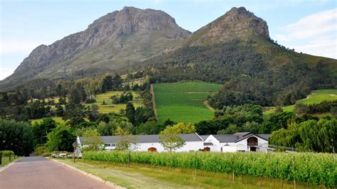full day cape winelands