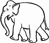 Elephant Coloring Pages Printable Animals Creative Young Wildlife Via sketch template