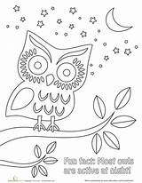 Coloring Pages Owl Night Kids Education Creature Origami Sheets Time Nighttime Worksheets Books Workbook Jewelry Color Kirigami Sky Målarböcker Princess sketch template
